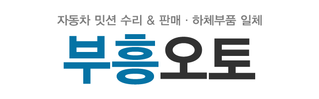 부흥오토_로고