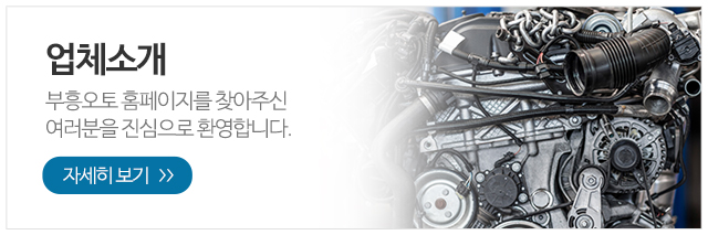 부흥오토_메인링크_1